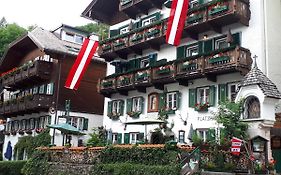 Platzhirsch zur alten Wagnerei Gästehaus
